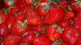 uZkqJMbB-qI.webp