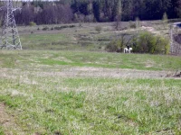 DSCN4364.webp