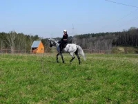 DSCN4373.webp
