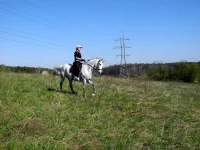 DSCN4425.webp