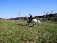 DSCN4442.webp