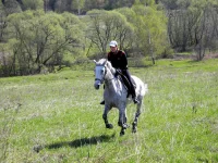DSCN4459.webp