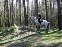 DSCN4482.webp