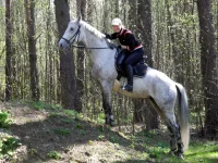 DSCN4483.webp