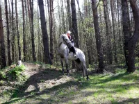 DSCN4489.webp