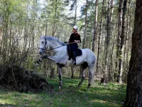 DSCN4494.webp