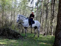 DSCN4495.webp