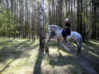 DSCN4501.webp