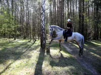 DSCN4502.webp