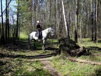 DSCN4505.webp