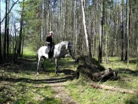 DSCN4508.webp