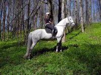DSCN4531.webp