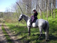 DSCN4540.webp