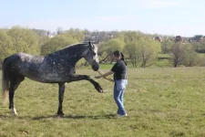 3MkYDSeYUiE.webp