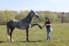 PiJgfAteT9w.webp