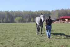 iqrPiKlGOF8.webp