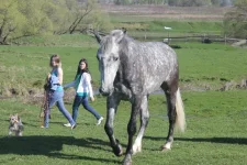 QD56dtMth4Y.webp