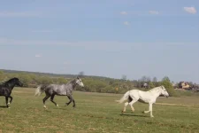 4GTHbi-u7dw.webp
