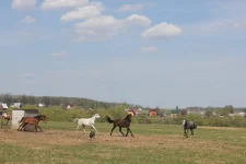 N0JRDF3eHjE.webp
