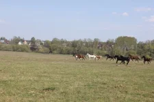 sERdq0fdqkA.webp