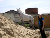 DSCN4558.webp