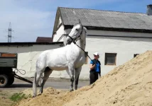 DSCN4560.webp