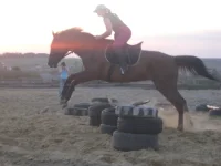 mxehkN7Sgt4.webp