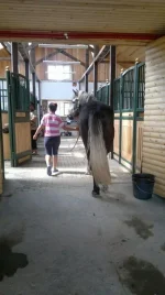ULubeWvRTIM.webp