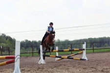n2sZfElWCHg.webp