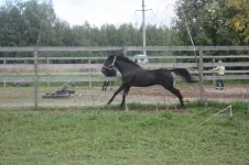 2t50NfjBZTk.webp
