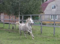 4uhF2faCmaU.webp