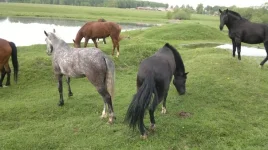 dTwx9ad1M6w (1).webp