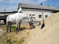 DSCN4740.webp