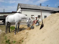 DSCN4741.webp