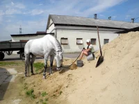 DSCN4742.webp