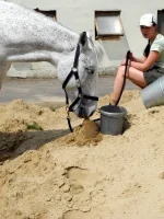 DSCN4743.webp