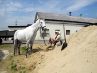 DSCN4747.webp