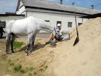DSCN4748.webp