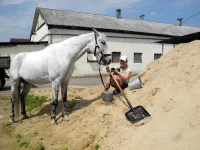 DSCN4752.webp
