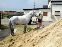 DSCN4775.webp