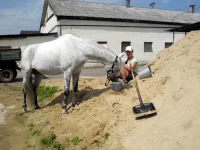 DSCN4754.webp