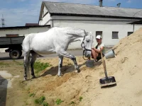 DSCN4755.webp