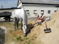 DSCN4757.webp