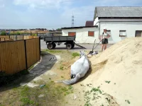 DSCN4763.webp
