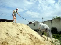 DSCN4767.webp