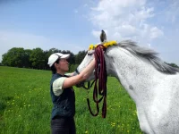 DSCN4717.webp