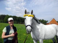 DSCN4720.webp