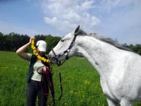 DSCN4728.webp