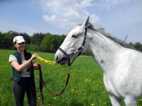 DSCN4729.webp