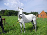 DSCN4731.webp
